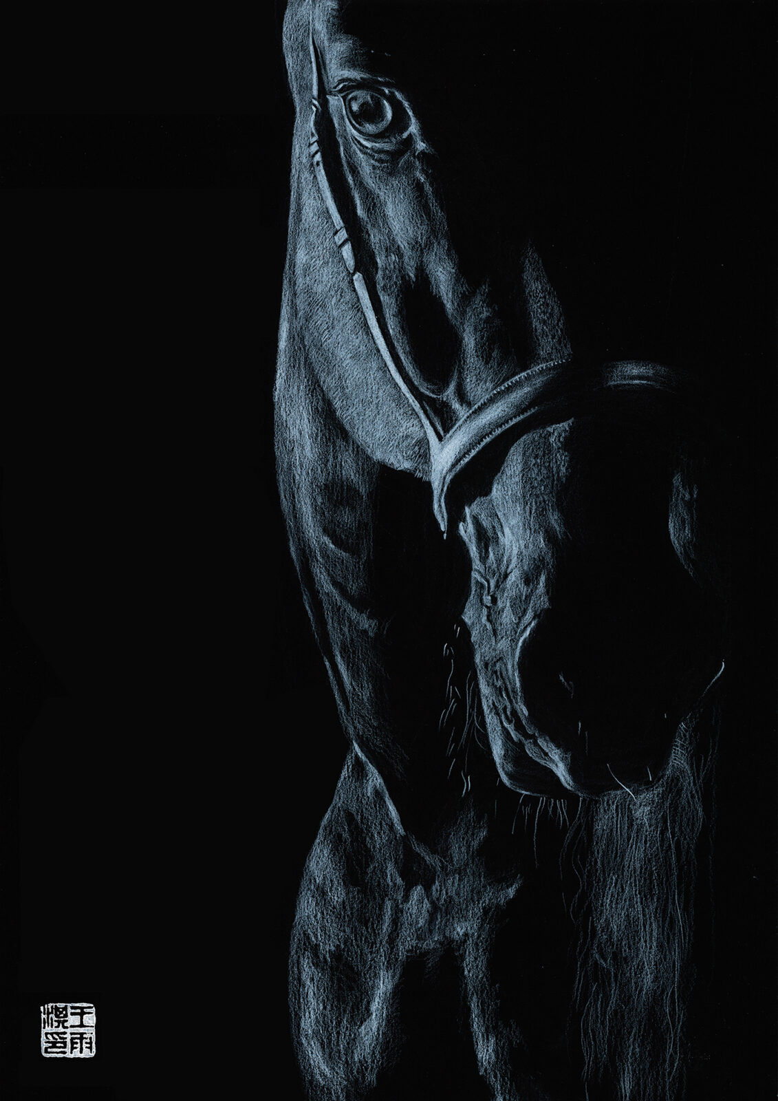 EQUESTRIAN II: AWAKENED