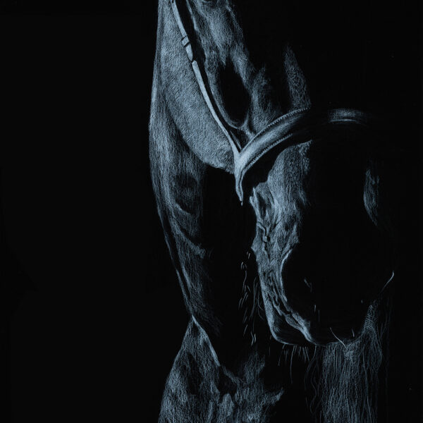 EQUESTRIAN II: AWAKENED