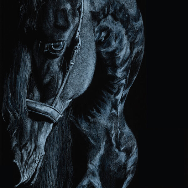 EQUESTRIAN III: PERCEIVER