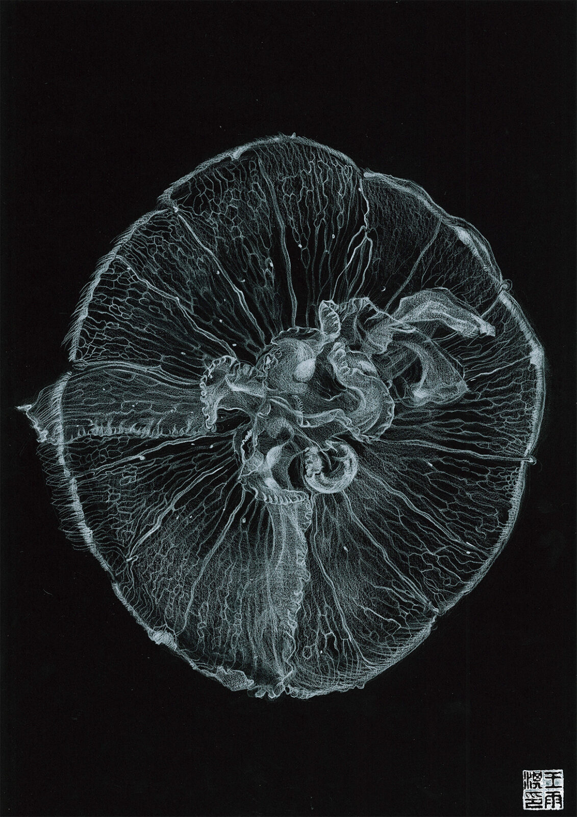 Floating Metamorphosis