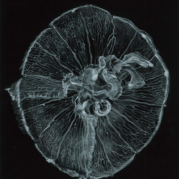 Floating Metamorphosis